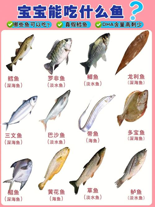 1岁国内第三代代孕宝宝吃什么鱼好